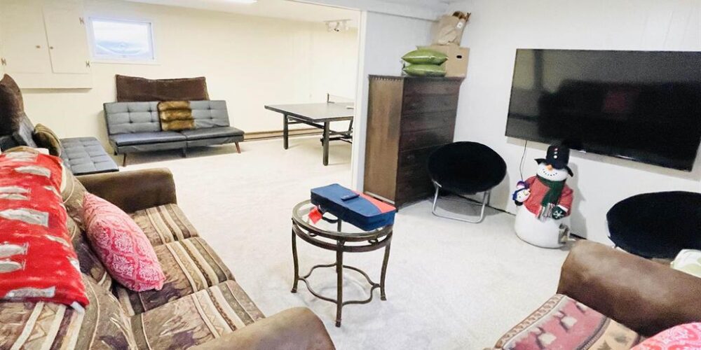basement 1