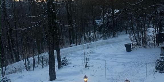 winter 1